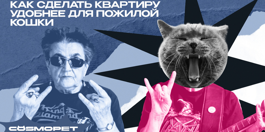 Он опять написал мимо лотка!