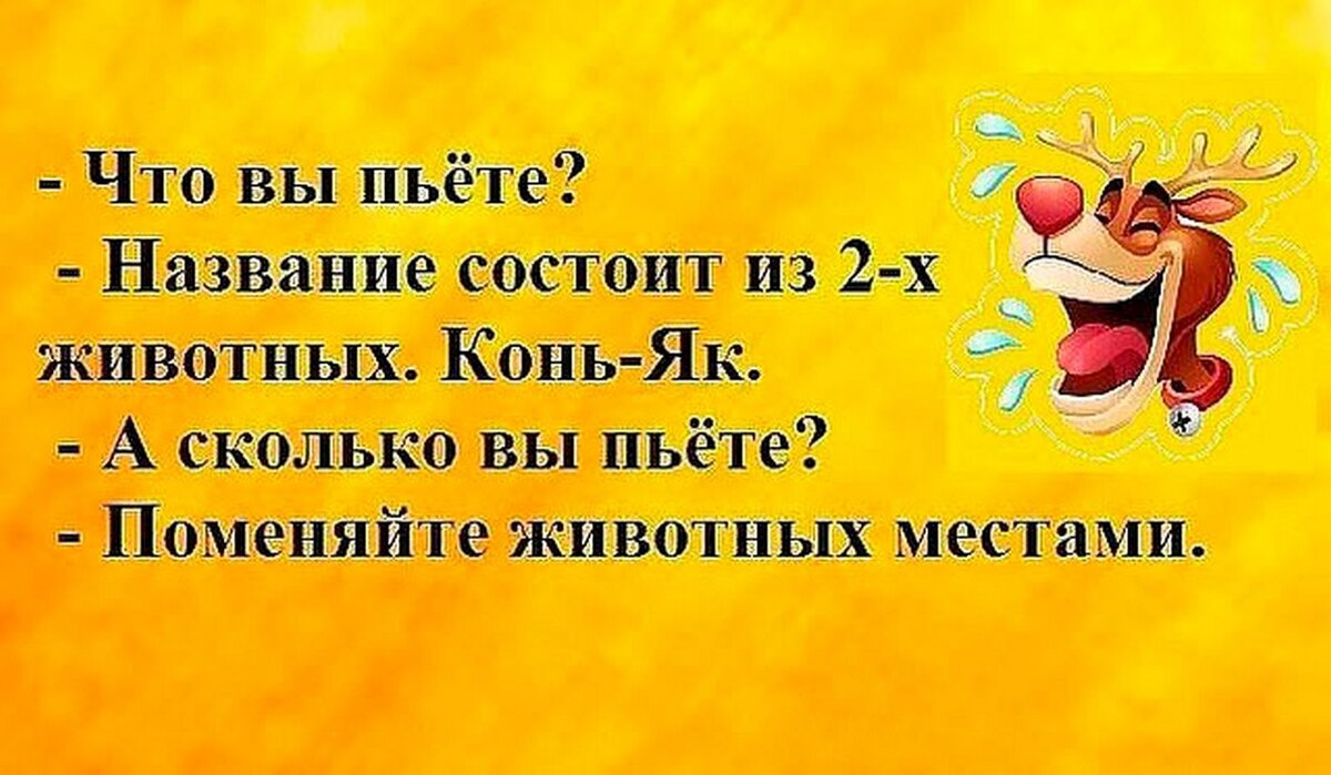 Анекдотов нет фотоприколы