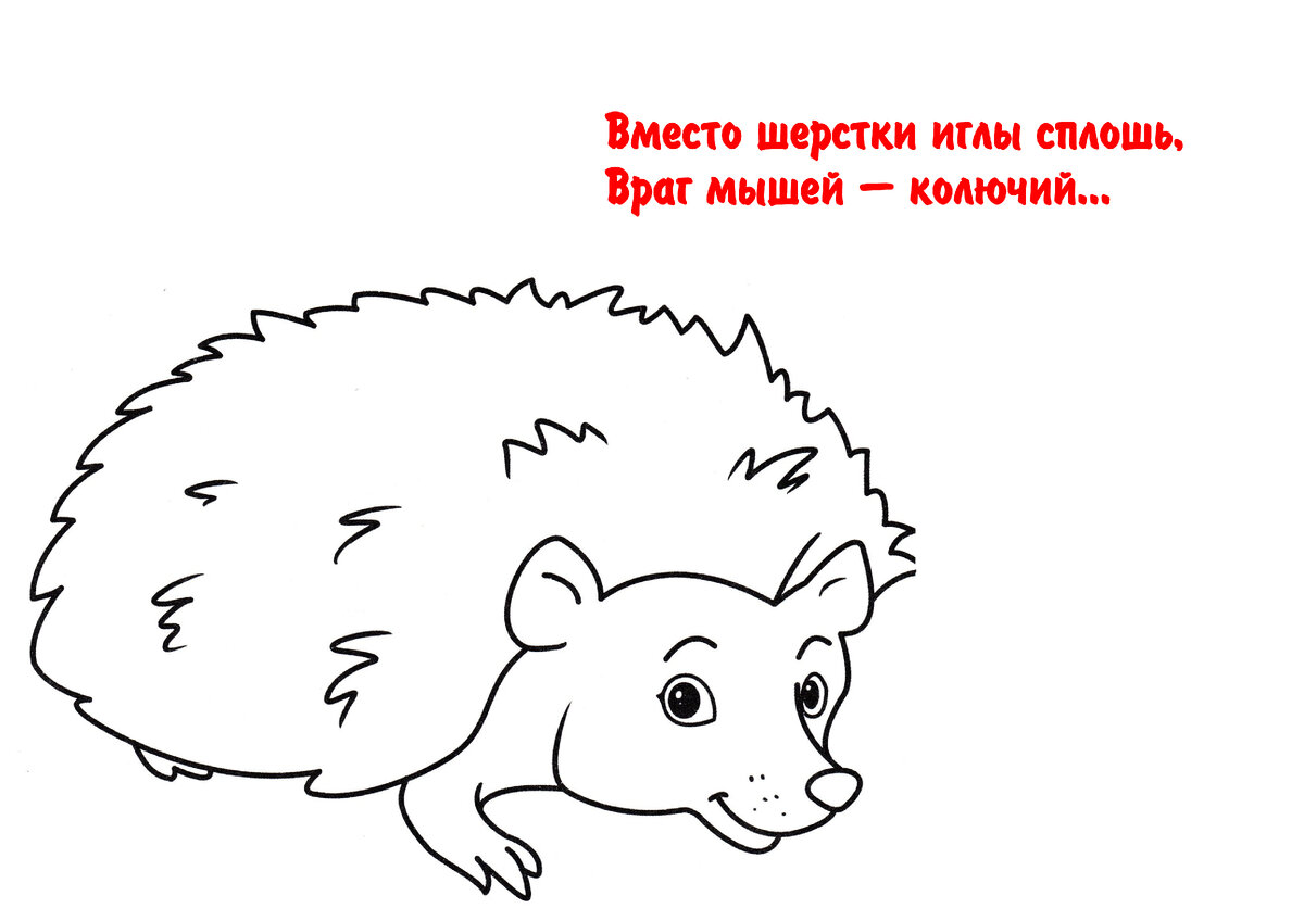 Ёж без иголок