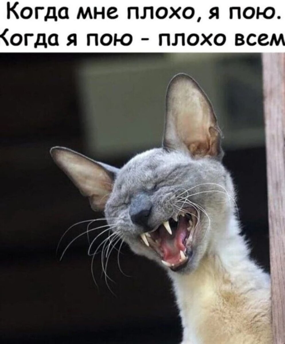 Умора картинки обхохочешься