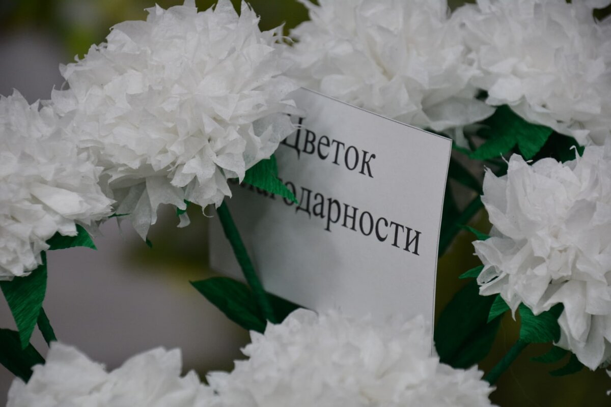 Акция белый цветок как сделать своими руками
