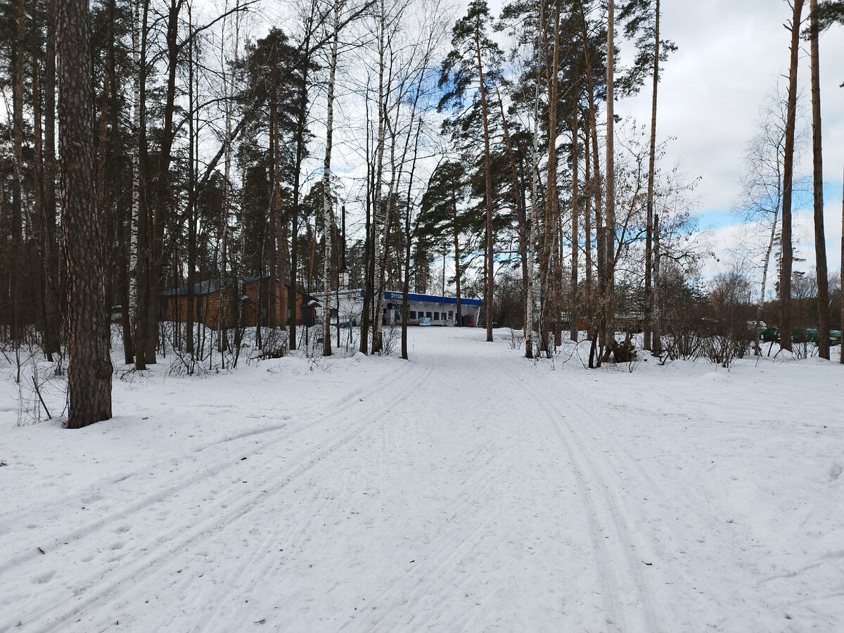 Лебяжье озеро дубна