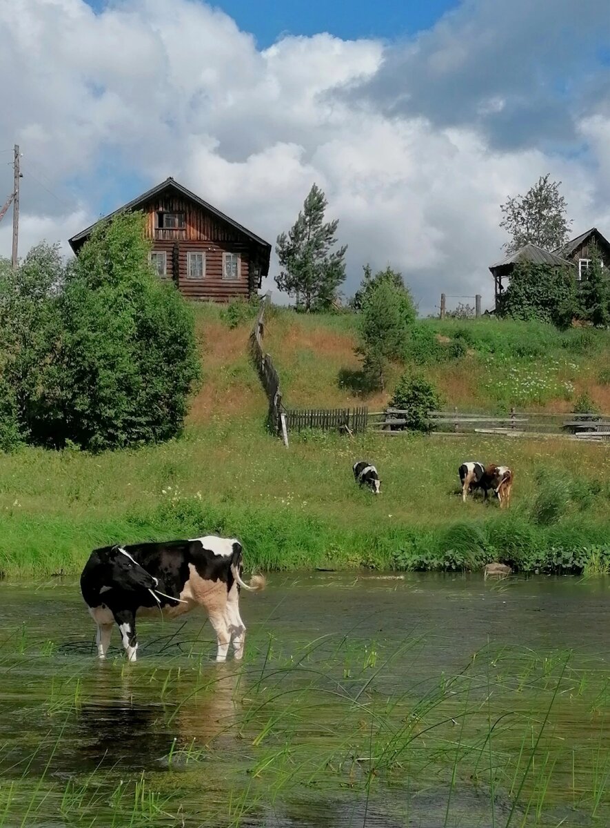 У Бабушки В Деревне