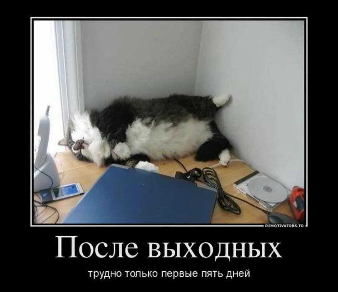 Выходные заканчиваются картинки прикольные