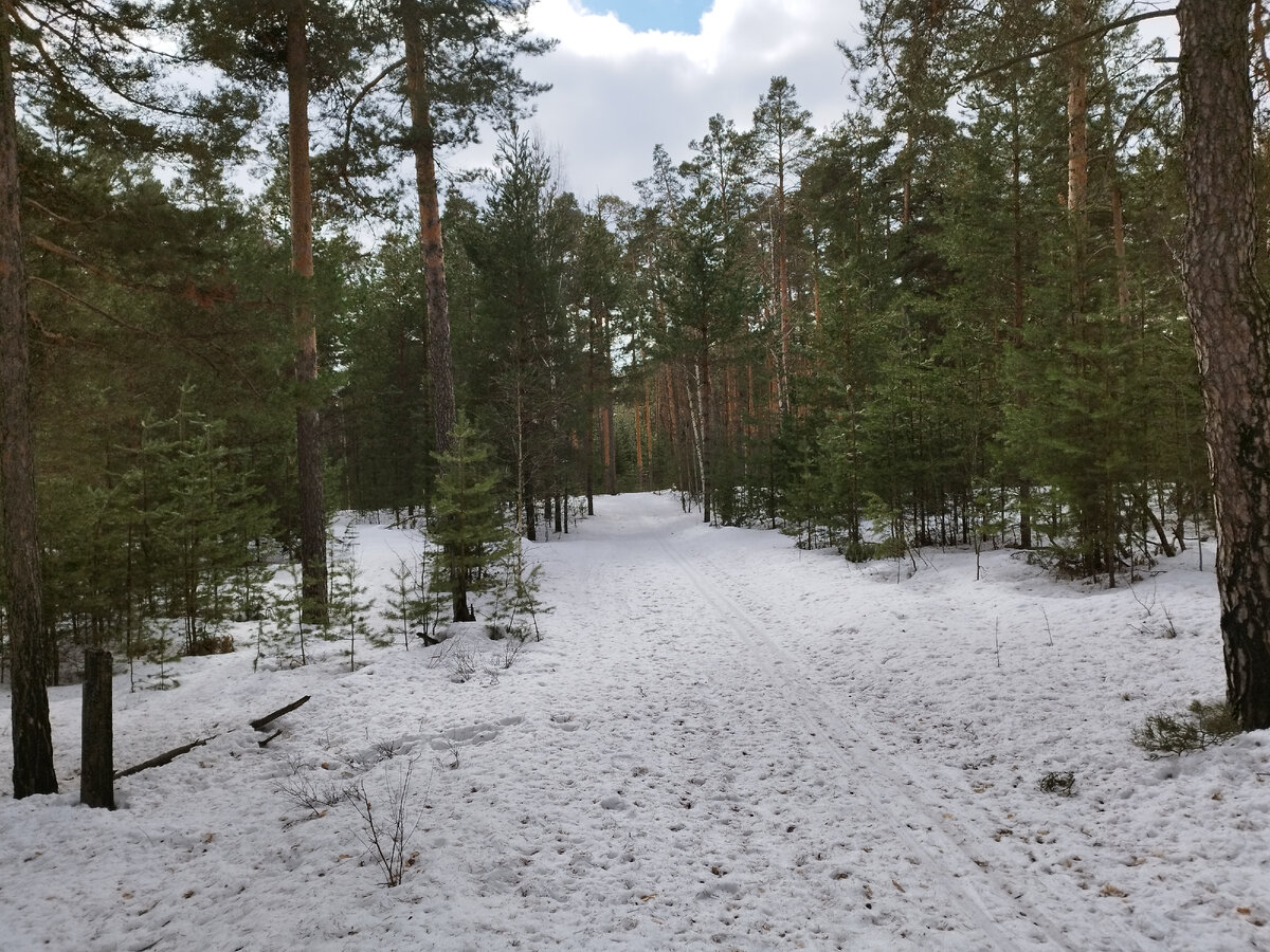 Хакасия лебяжье озеро
