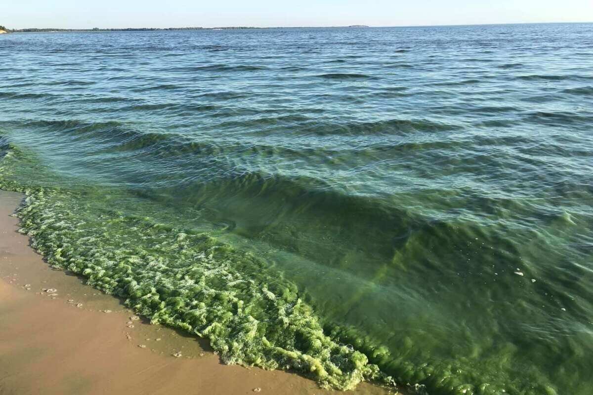 Зеленоватое море