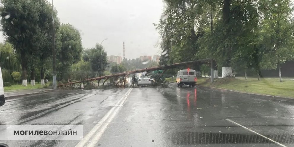 Как найти фото дтп машины