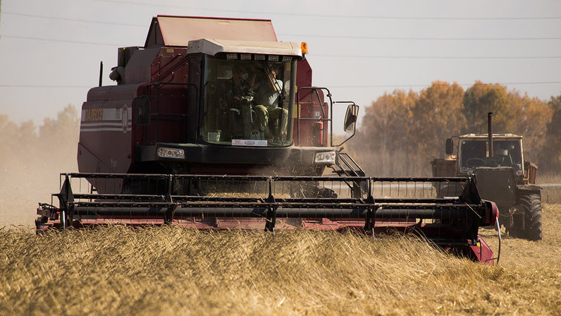 кущевская агрокомплекс. хворостина евгений николаевич агрокомплекс. черников футболист краснодар. кущевская агрокомплекс. мотобол женщины.