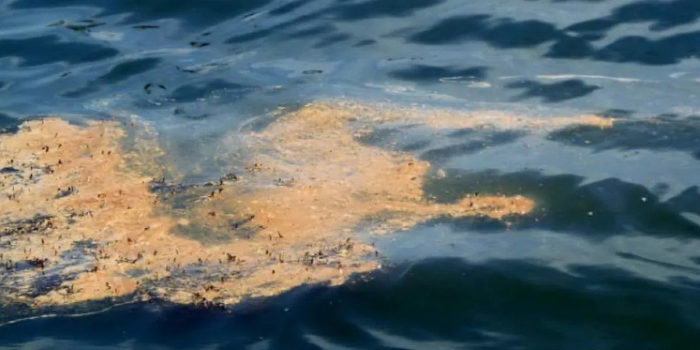 Фото мазутного пятна в море Дно реки после разлива дизтоплива в районе Норильска очистят по технологии ТГУ: 