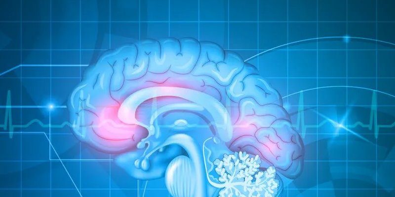 Радужная эпилепсия. Эпилептический фон. Эпилептический фон. Эпилептический фон. Эпилепсия мозг.