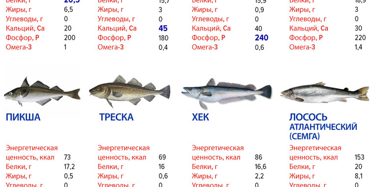 Стол 4 какую рыбу можно