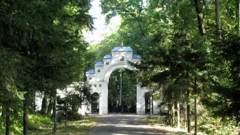 Знаменская роща курск знаменская роща фото В Курске 1 августа в Знаменской роще стартует "Вахта памяти": Яндекс.Новости