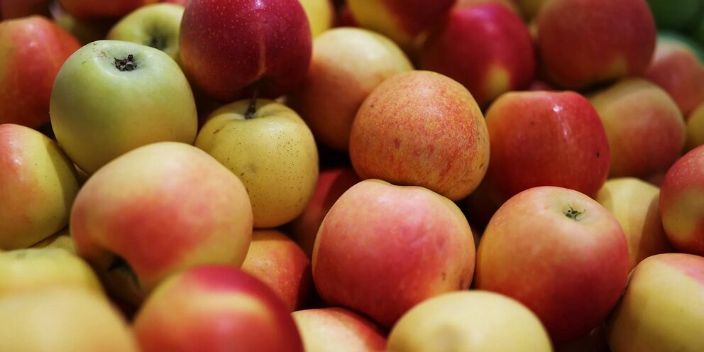 Сорт яблок импортных. Ящик с яблоками. Голландские яблоки. Молдавские яблоки. Импорт яблок.