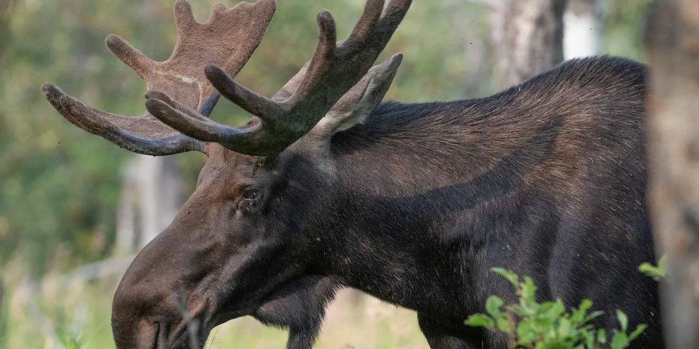 Пройди мимо. Как денек прошел картинки. Статусы про пятницу прикольные. Человек тычет в зеркало. Проехал мимо.