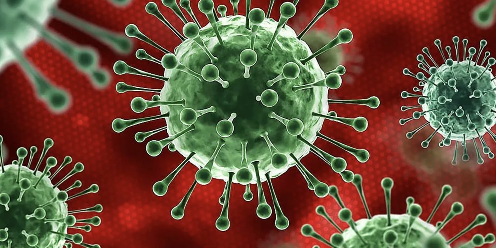 Пирола вирус. Новый коронавирус Пирола. Пирола новый вирус. Новый штамм вируса Пирола картинки.