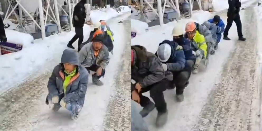 Гусиный шаг физра. Домашние гуси зимой. Идти гуськом. Ходьба гусиным шагом. Ходить гуськом.