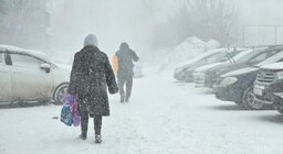 Сильный мороз. Ударил мороз. Мороз ночью сильный. Кабачок ударило морозом. Мороз ночью сильный.