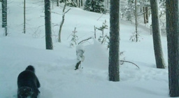 Canon 70-200 f2. Canon ef 1200mm f/5. Попасть в кадр объектива. Объектив мир-1в 2. Отражение в объективе.