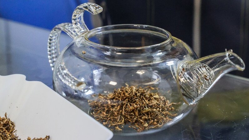 Беродуал побочные эффекты. Беродуал для ингаляций для детей дозировка 2 года. Можно ли пить чай после ингаляции. Можно ли пить чай после ингаляции. Беродуал фармакологическое действие.