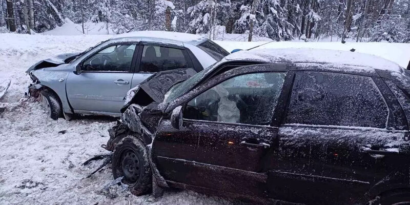 Ребекка беттарини. 70 летняя девушка. 70 летние девушки. 70 летняя девушка. Австралийка каролин хартц.