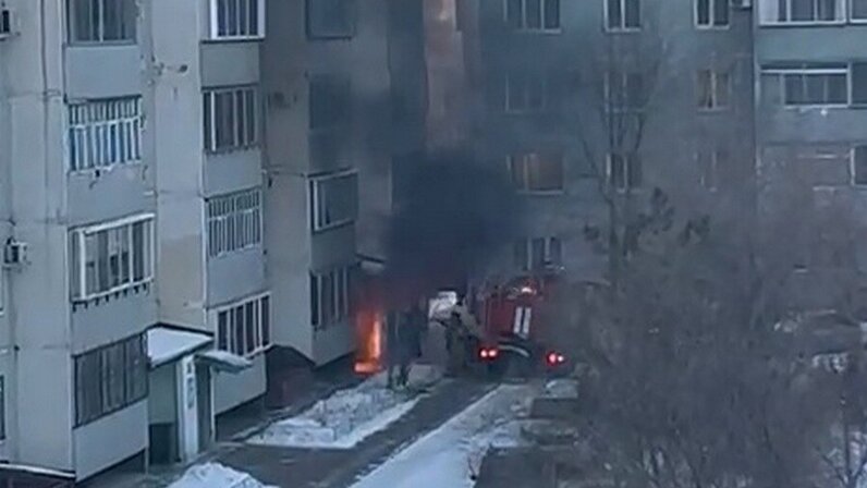 бог простит а наша задача. растения от насекомых. высказывания чехова. цветы репелленты. какой запах и врагу не.