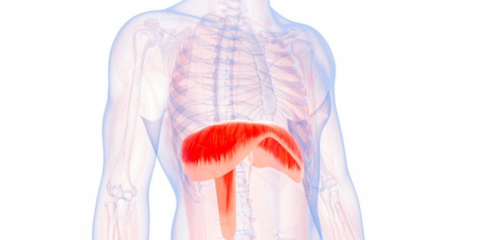 Фазы сна по времени таблица по часам. Определение времени по часам. Каждый день в течение 10 минут. Полезный сон. В течении десяти минут.