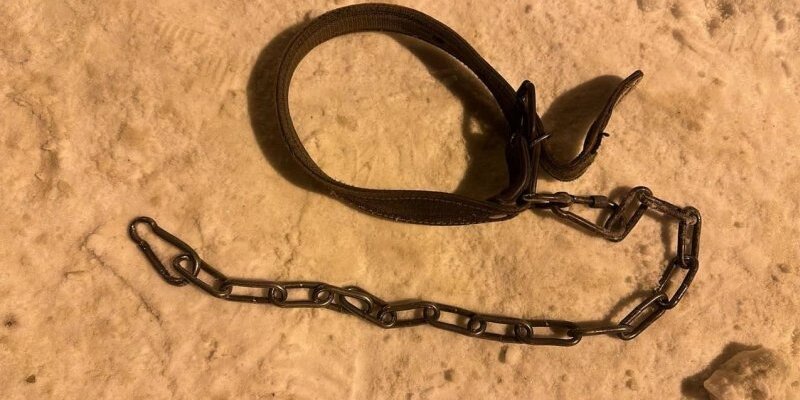 сахалин углегорск 2022 соревнования по бегу. волгоград марафон трасса. владивостокский марафон. беги с сахалина. соревнования по легкой атлетике.