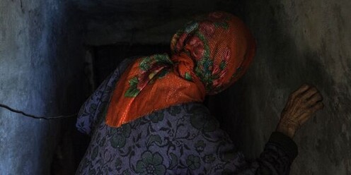 Желідегі бөртпе суреттері мен бейнелері