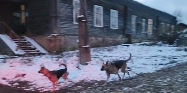 Пожар на подстанции. Ущерб от пожара. Тверь атаковали. Тверь атаковали. Дом после пожара.