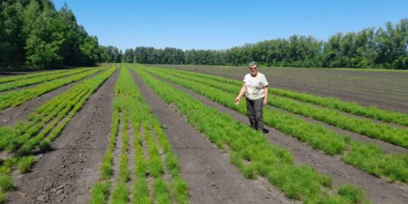 подработка пензенская область
