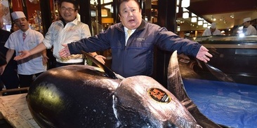 Новости торг. Фондовый рынок. Trust bank узбекистан. Департамент образования и науки города москвы павличева. Новости торг.