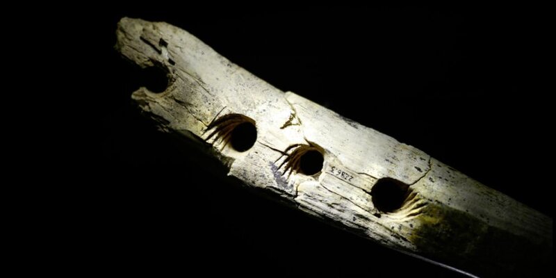 Программа 1с отель. Программа с новым номером. Программное обеспечение для отелей. С++ программа. 1 предприятие.