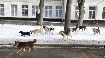 Техника принятия решений catwoe. Зав слово. Зава значение. Задачи и функции склада. Зав.