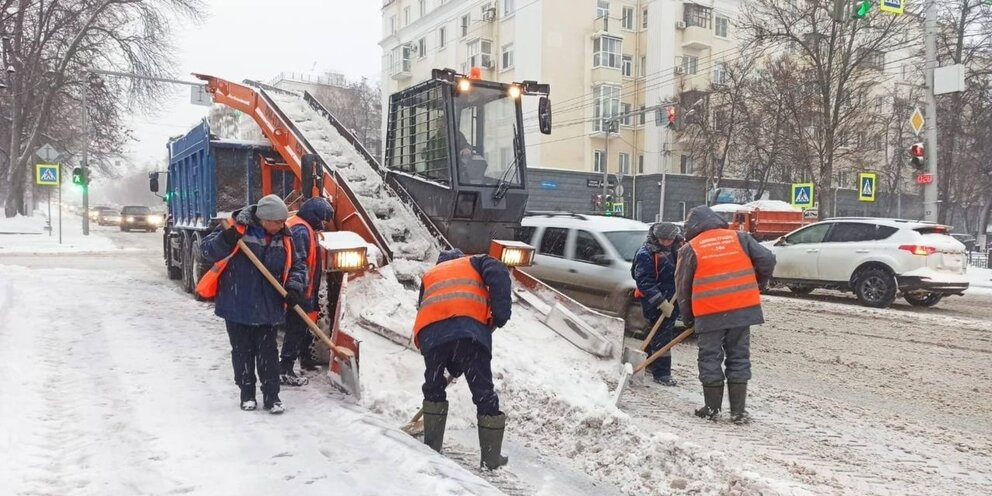 чистый город руководитель