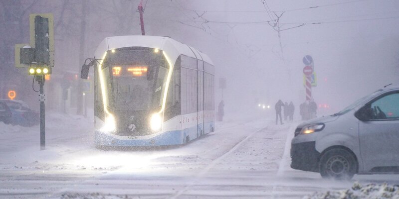 физминутка ветерок. вдруг сильный ветер. вдруг сильный ветер. физминутка ветер. дерево под ветром.