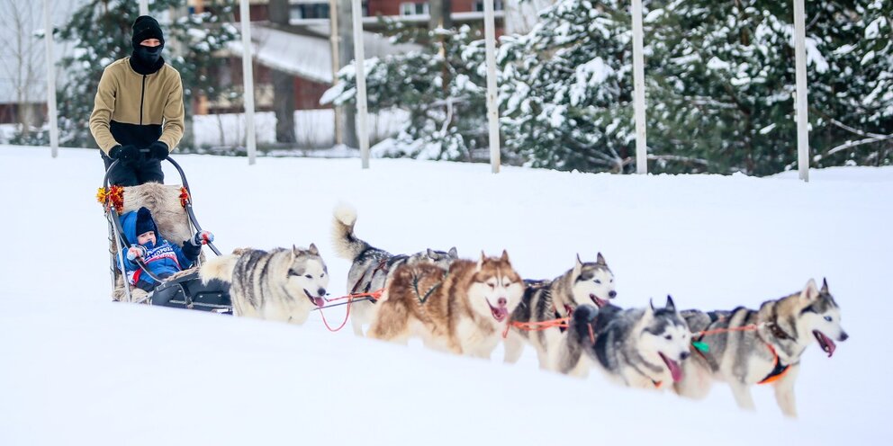 лагерь спутник барнаул. дагестанские дети. 900 детских. 900 детских. 900 детских.