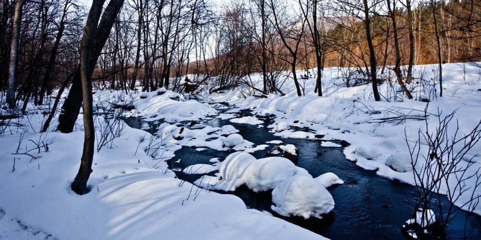 температура воздуха в приморском крае. владивосток климат по месяцам. температура воздуха в приморском крае. прогноз аномалий средней температуры воздуха. египет климат по месяцам.