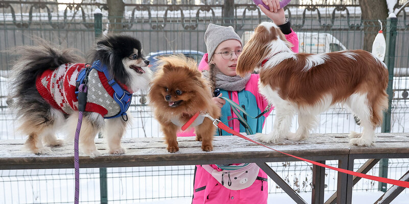 колыбель бебетон. авито нижний новгород бесплатные детские. юла бесплатные объявления нижний новгород отдам даром мебель нижний. авито нижний новгород бесплатные детские. детские кроватки б/у.