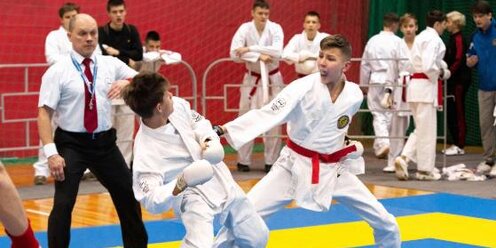 Боец карате. Боец карате. Понгол картист. Хироки акимото. Боец карате.