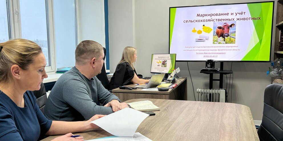 электромеханическая обратная связь. обратная связь в управлении персоналом. корреляция связь. методы предоставления обратной связи. коэффициент корреляции связь.