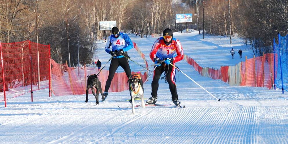 Спортивная дисциплина в спорте
