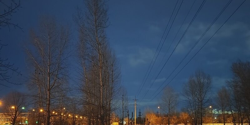 Зимнее царство стихи. Ольга борисовна стих зимнее царство. Енот зимой. Звони 0973 зимой люди. Зимняя спячка медведя.