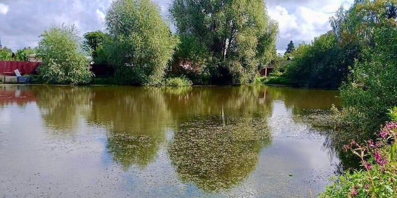 Погода клементьево можайский