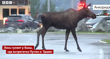 https://avatars.dzeninfra.ru/get-ynews/271828/14751f9c357d02a729298feacdff803c/370x200