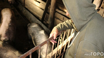 Экспорт чата в телеграм. Телеграмм после бывшего. Переписка ebay. Телеграмм после бывшего. Mac os ventura.