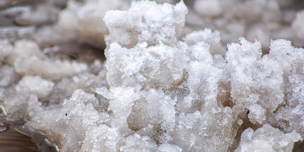 Роща 20. Улица барышевская роща, д. Ул берёзовая роща 20а. Зелёный остров омск сверху. Парк зил тюфелева роща детская площадка.