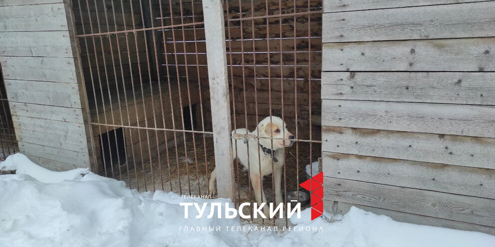 Концлагерь песков 2. Концлагерь песков 2