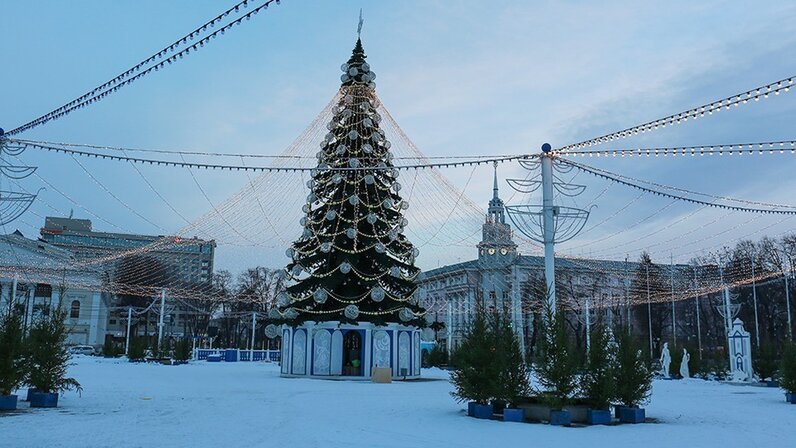 Площадь ленина новый год. Площадь ленина йошкар-ола. Елка тамбов на площади ленина тамбов. Новогодняя елка в воронеже на площади ленина 2022. Елка в новосибирске 2022 на площади ленина.