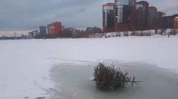 Река елочка. Река елочка