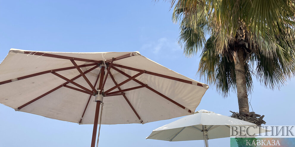 зонт 2023 конгресс. зонт 2023 конгресс. зонт 2023 конгресс. зонт 2023 конгресс. зонт 2023 конгресс.